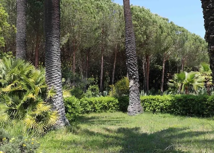 Bell'aspetto Hotel Nettuno